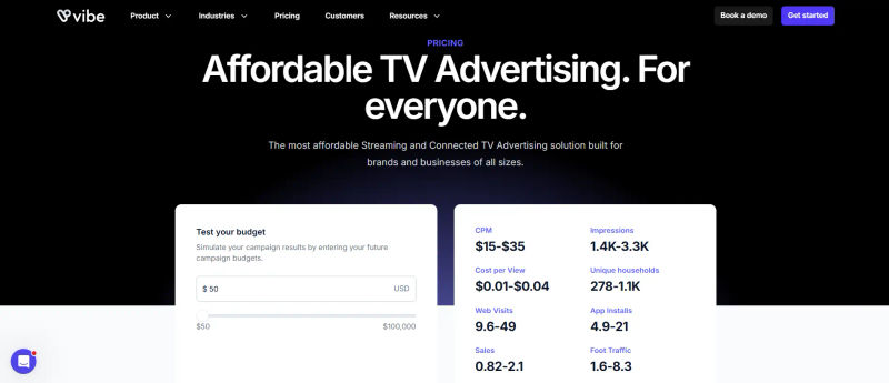 Vibe Pricing