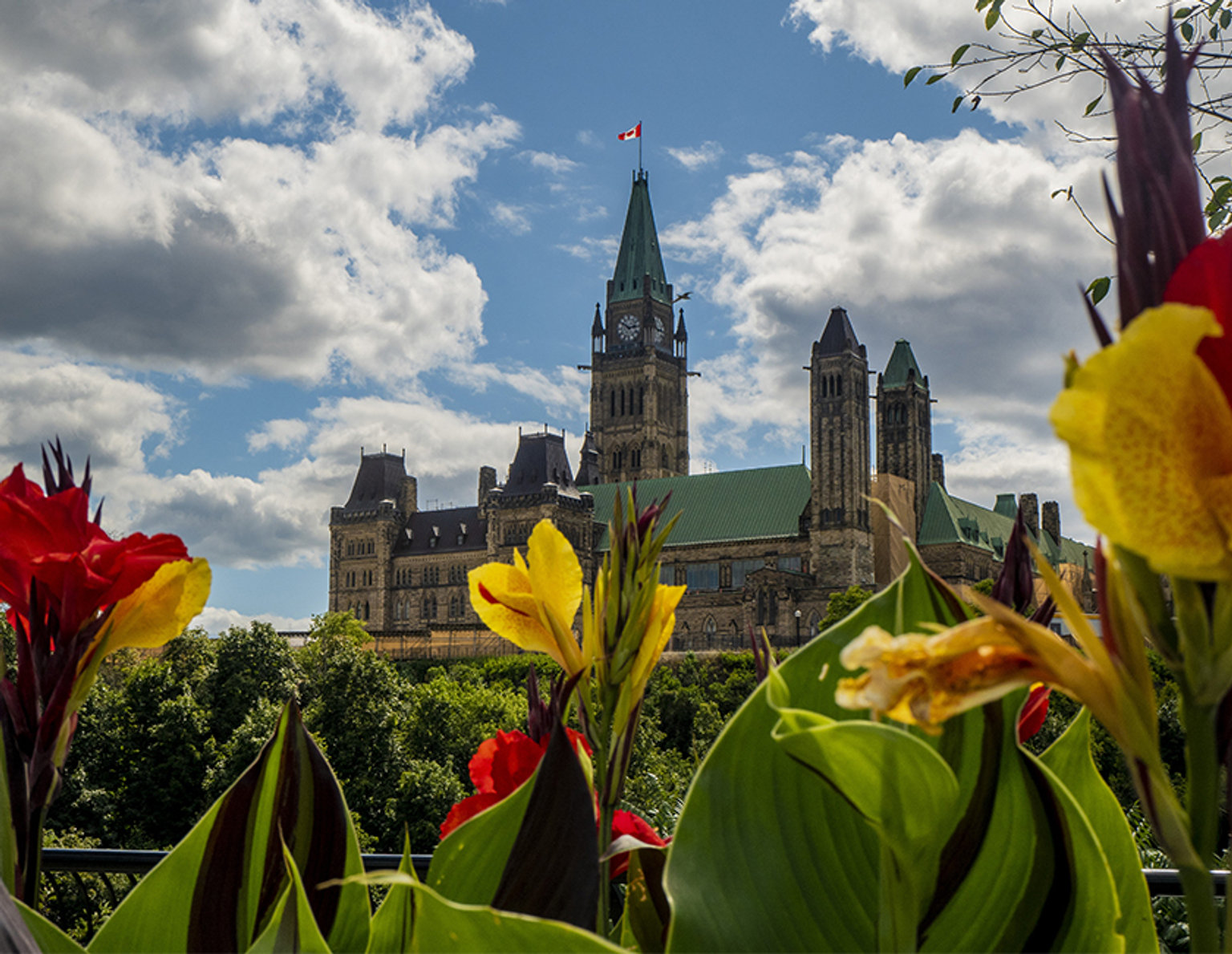 Parliament