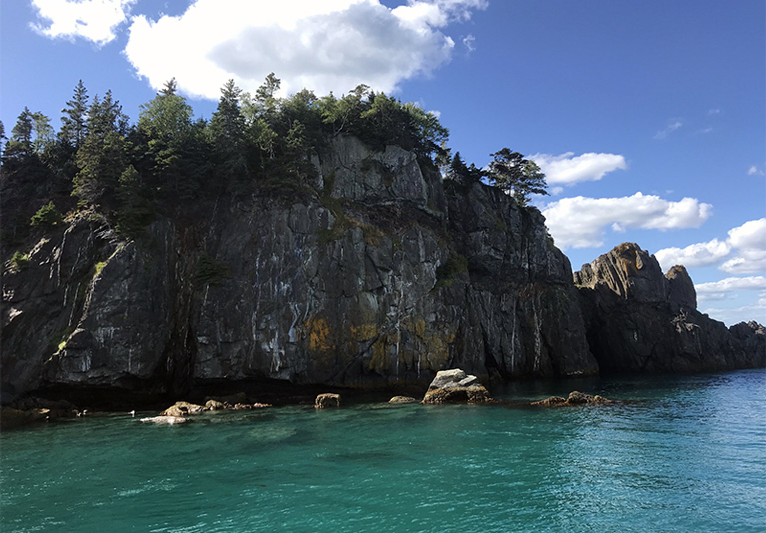 Trinity Bay