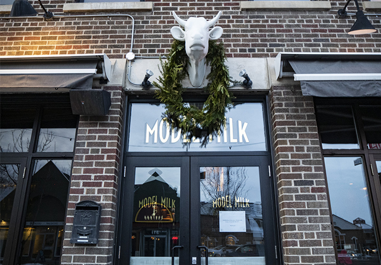 Model Milk