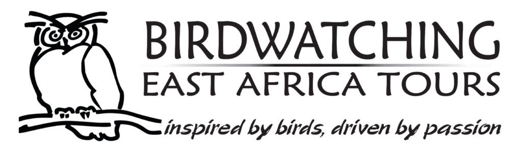 Birdwatching East Africa Tours