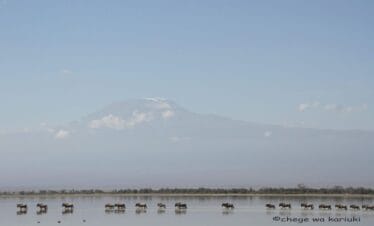 10-Day Kenya Tanzania Wildlife Safari