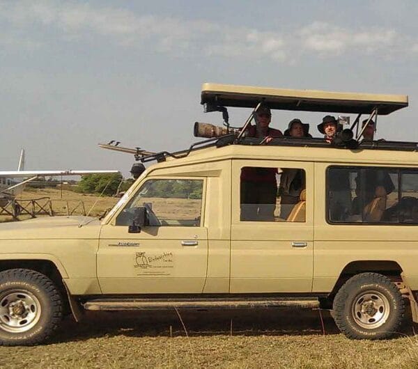 Tanzania birding tour
