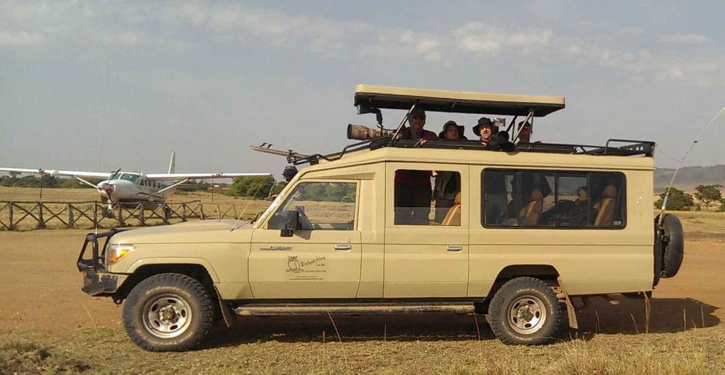 Tanzania birding tour
