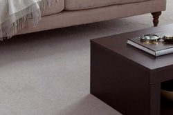 The Top 8 Carpet Trends to Expect in 2020