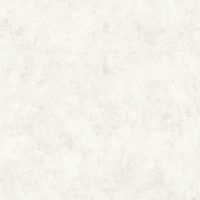 36924-5(R)
