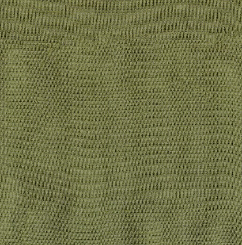 5002-OLIVE