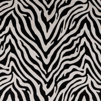 EVA - ZEBRA