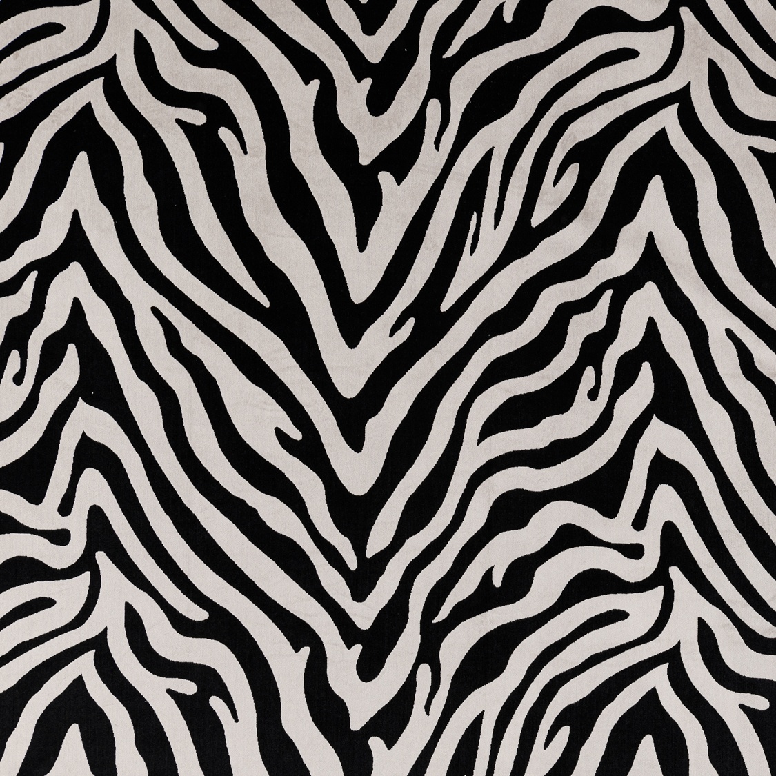 EVA – ZEBRA