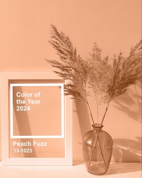 Pantone Colour of The Year 2024- Peach Fuzz