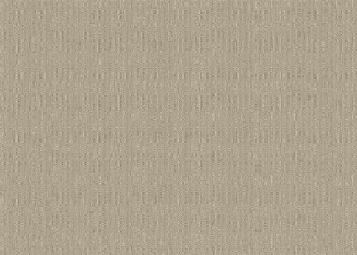 RHINE-BEIGE
