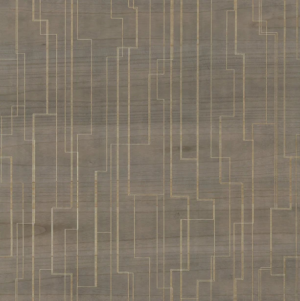 GV0259