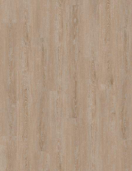 FOREZ GREIGE – 730