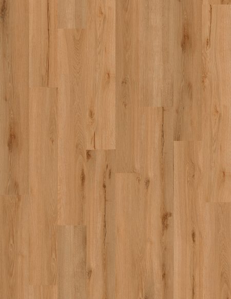 SHERWOOD HONEY – 650