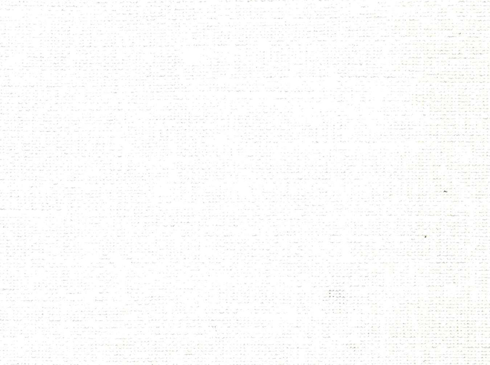 HF240217-1 NGC Nafees Wallpaper UAE