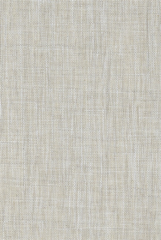 TF1131 wallpaper design