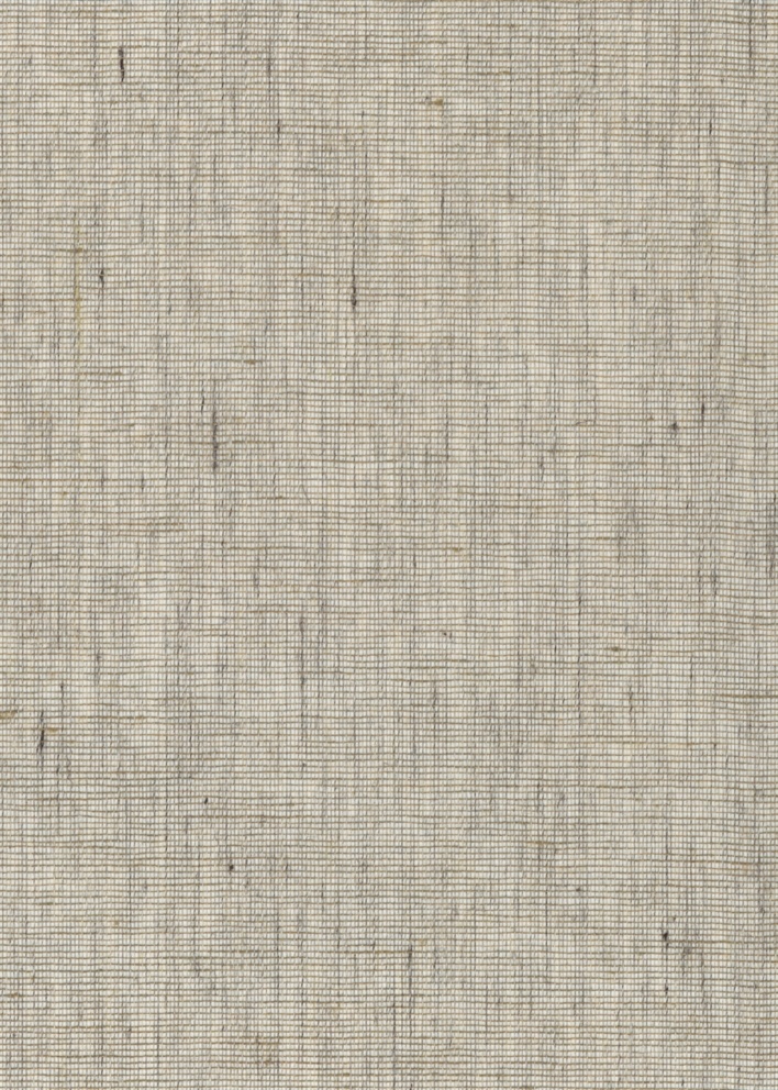 TF1243 wallpaper design