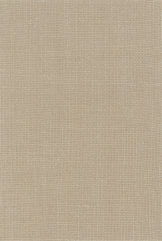 TF1299 wallpaper design