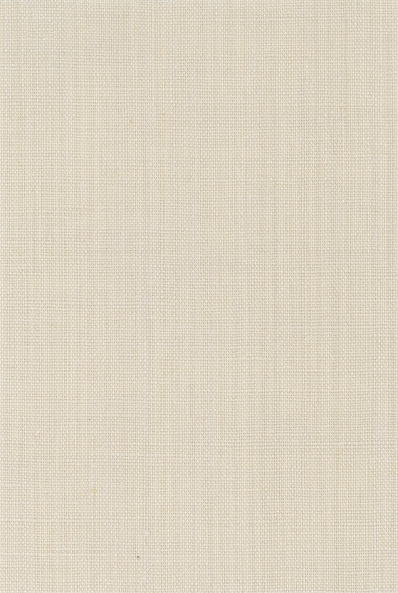 TF1303 wallpaper design