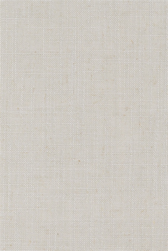 TF1305 wallpaper design