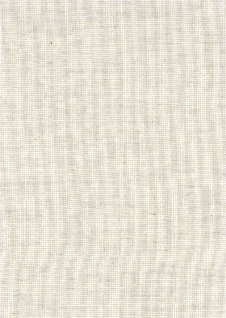 TF1323 wallpaper design