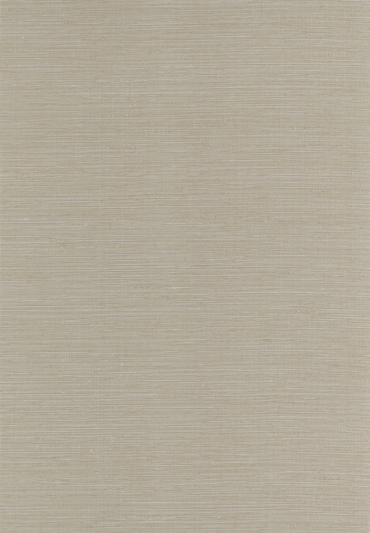 TF3371 wallpaper design