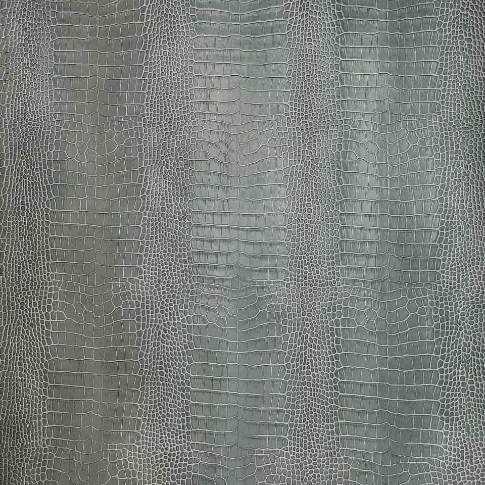 CAIMANO ITALIAN OLIVE