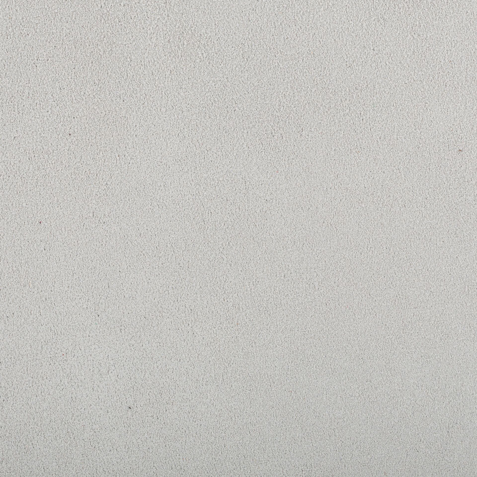 CAMOSCIO GRIGIO PERLA