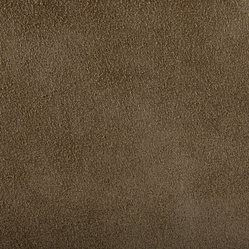 CAMOSCIO TAUPE