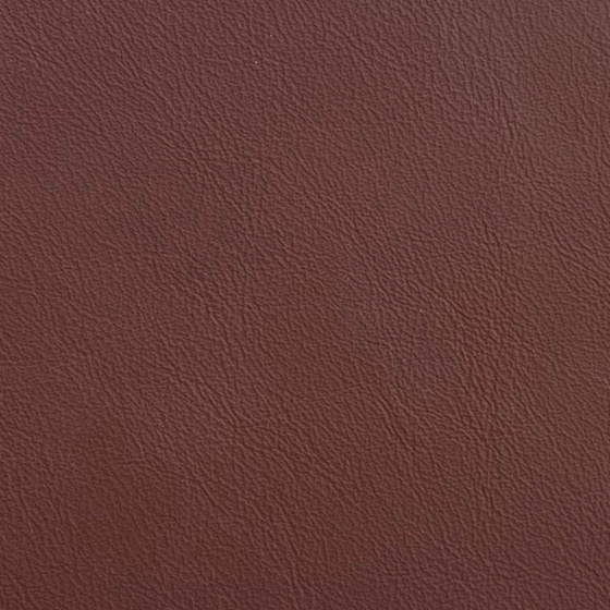 ECHO PARK PALM BROWN