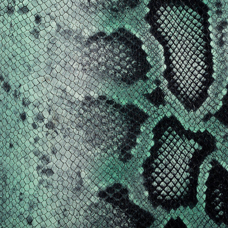 LIVERY PITONE TANTUM