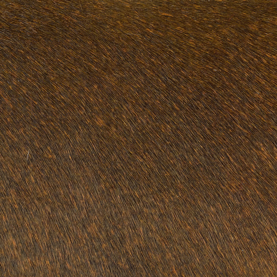 VITELLINA BICOLOUR COR NEGRONI