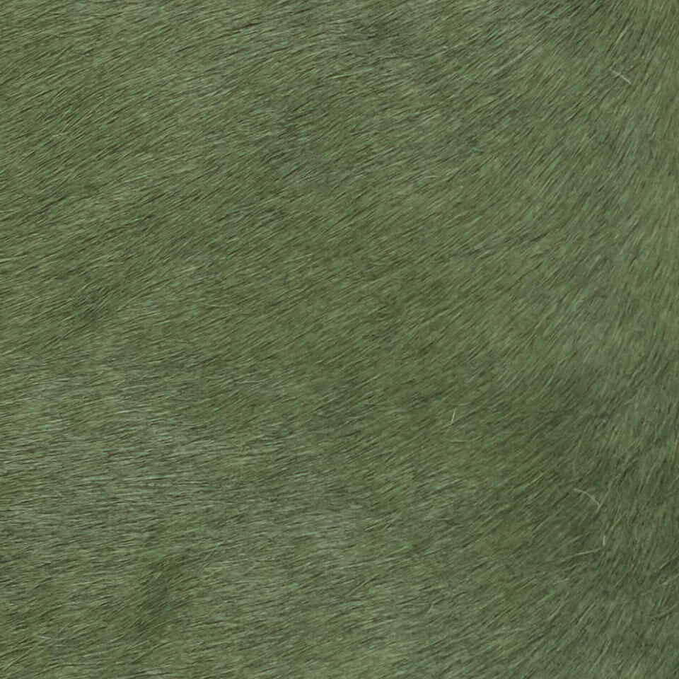 VITELLINA SHORT 9010 FOREST