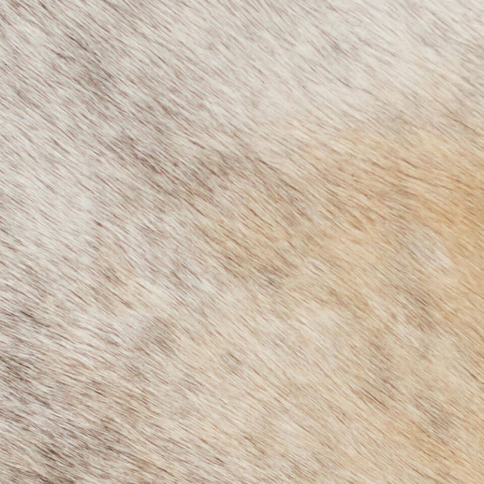 VITELLINA BICOLOUR GREY FUME