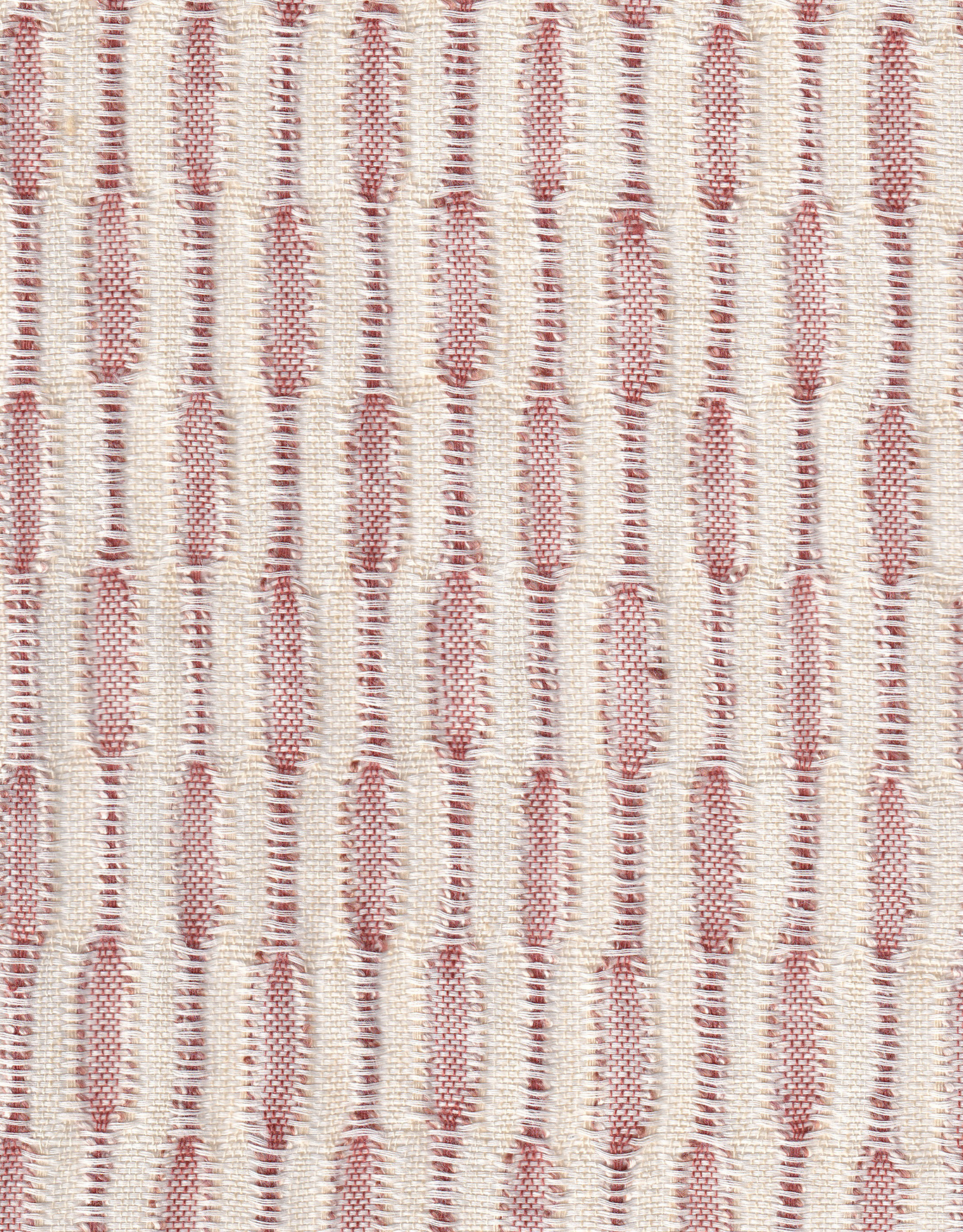 AMANI R7 GINGERSPICE