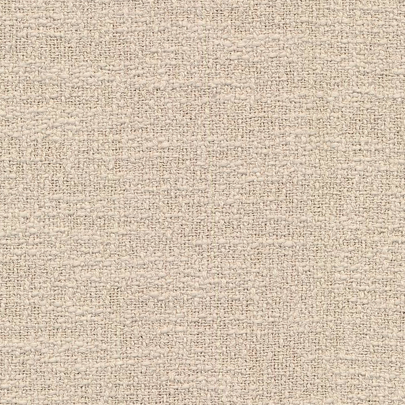 AURORA P1 TURTLEDOVE