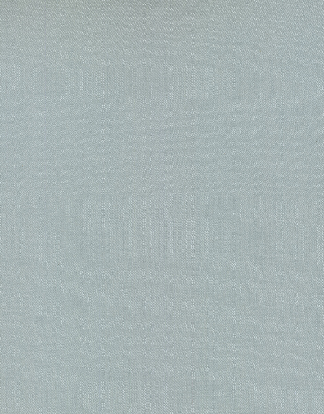 AVOCADO H1 WINTERSKY