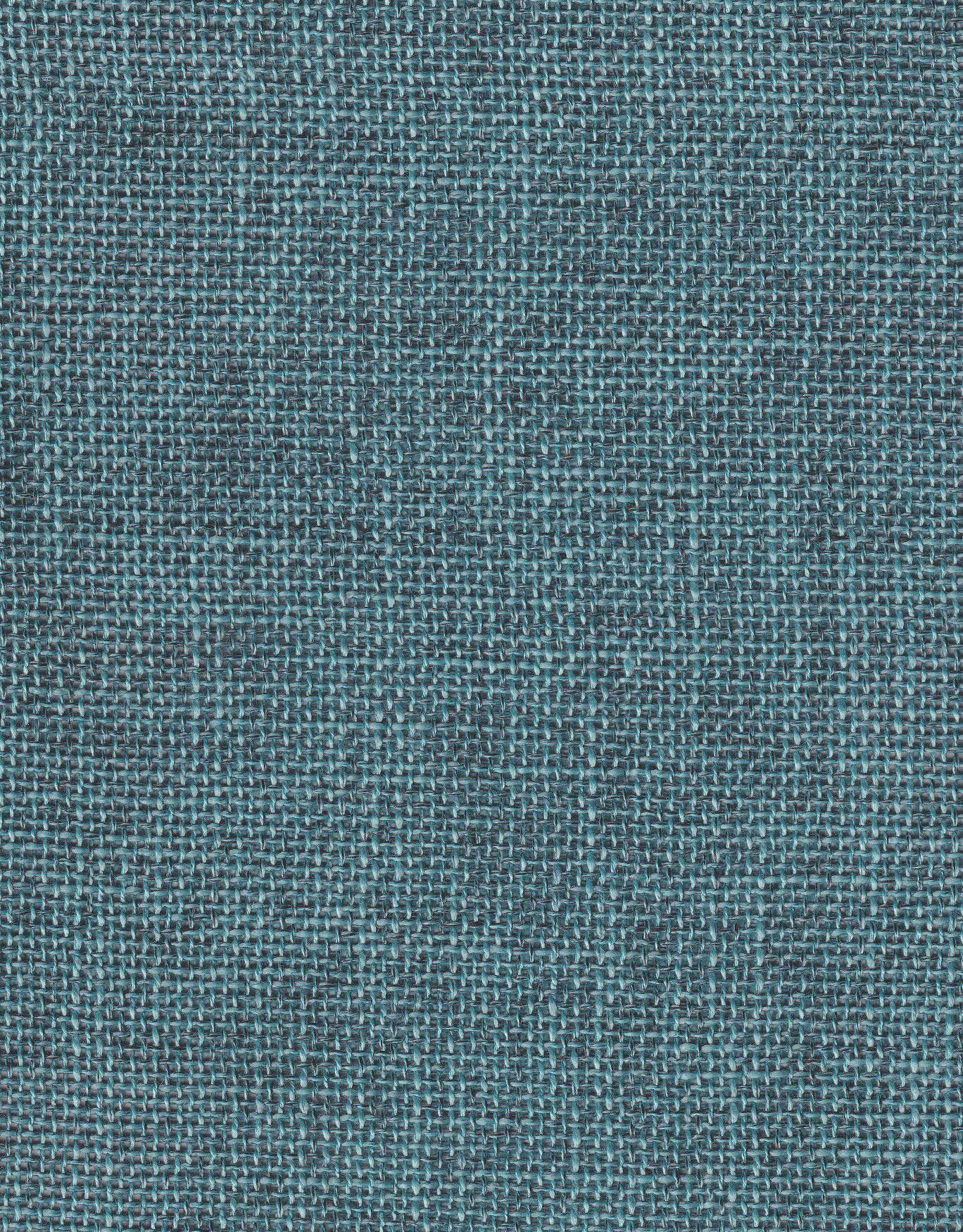 PHYSALIS I11 MALLART