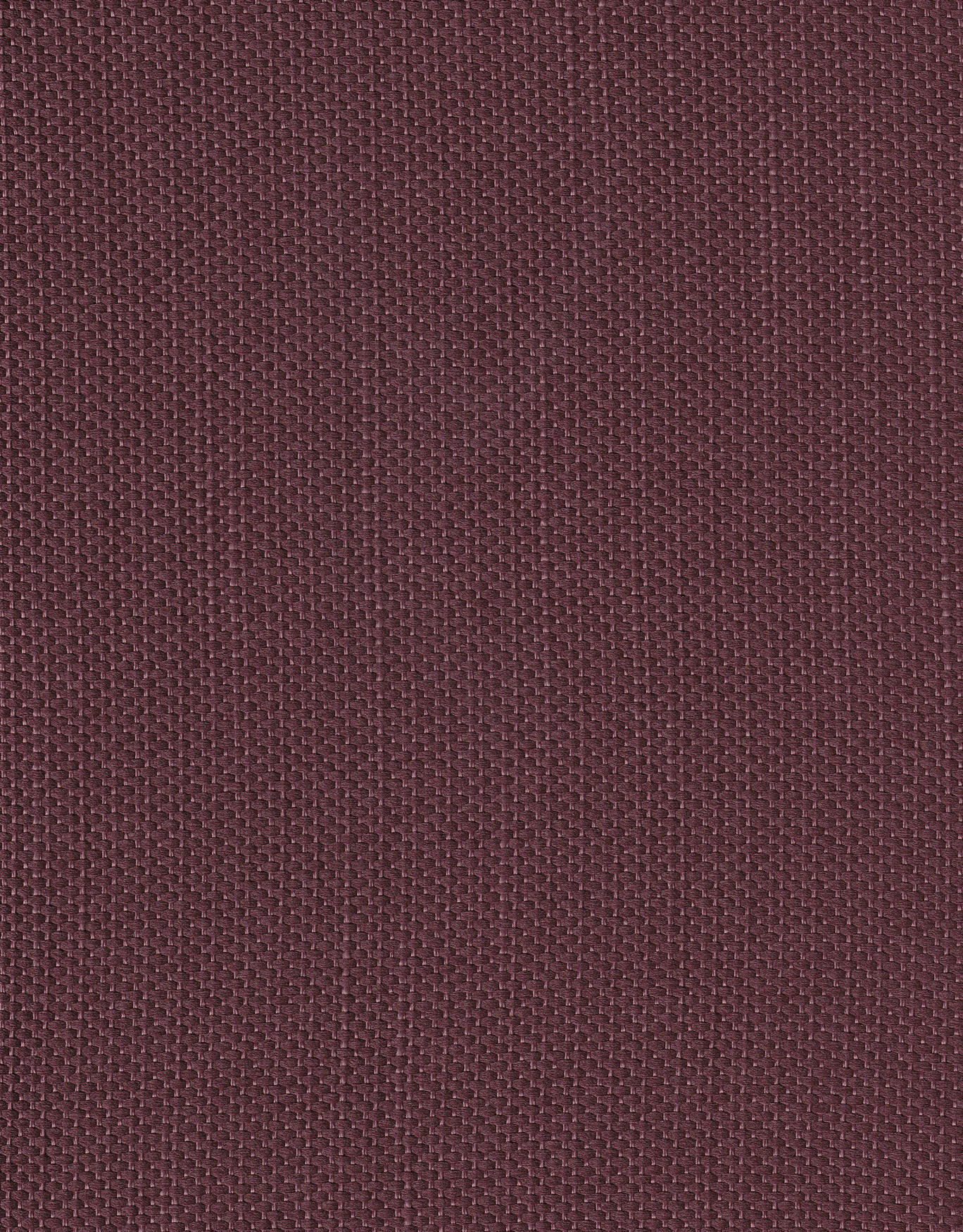 TOPAZ D3 RHODODENDRON