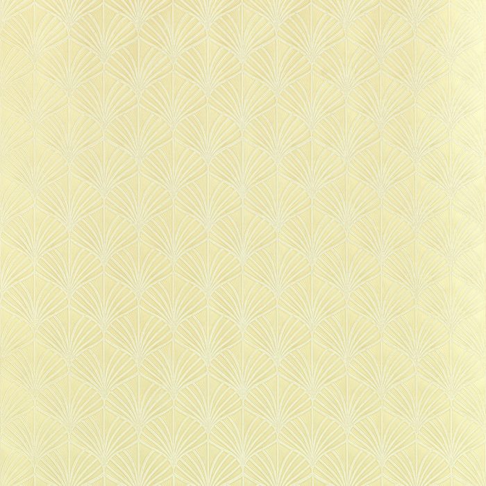 76651120