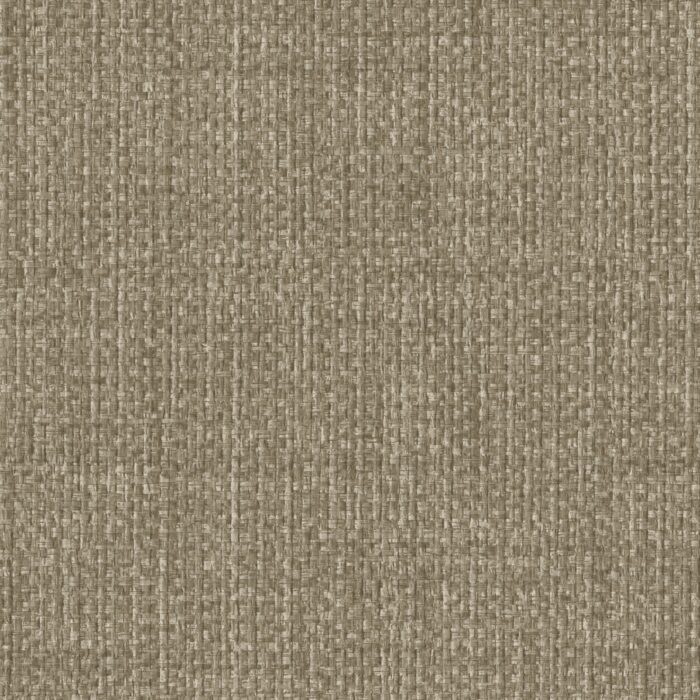 W2-DV-06