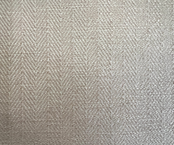 AJMER-4005 TURTLE DOVE