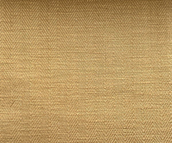 AJMER-4019 HONEY MUSTARD