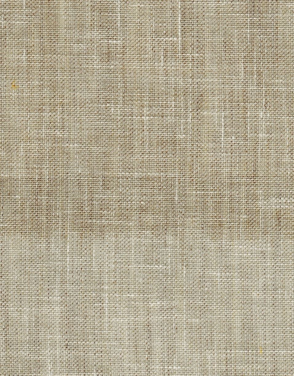 COCONUT P1 TURTLEDOVE