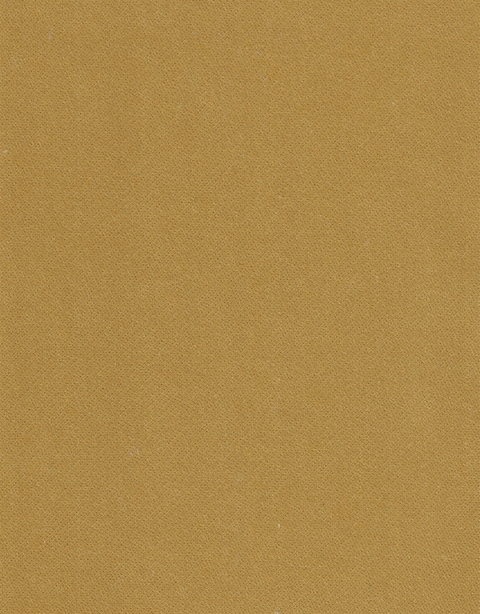 GUAVA A5 APPLECINNAMON