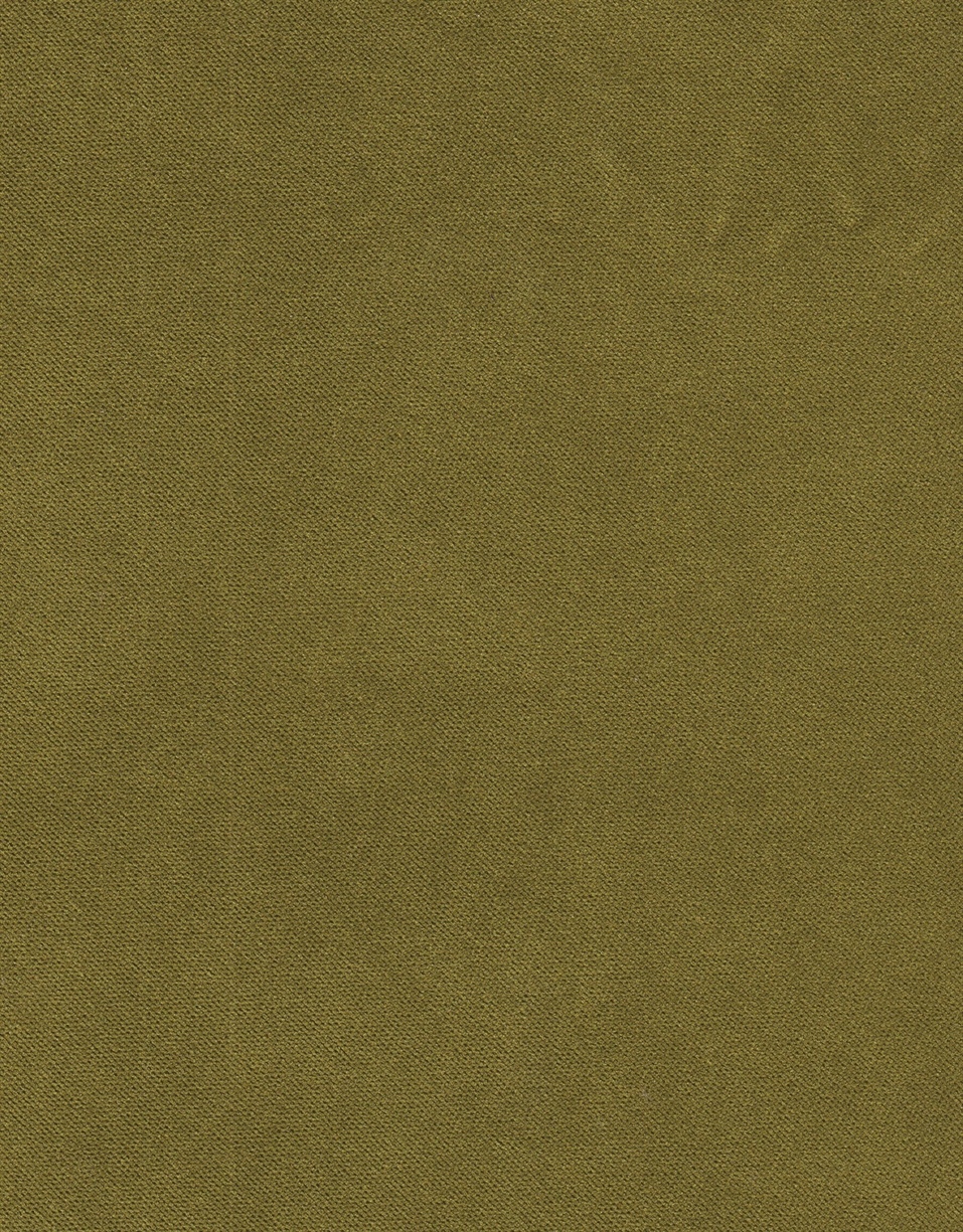 GUAVA B4 CEDAR GREEN