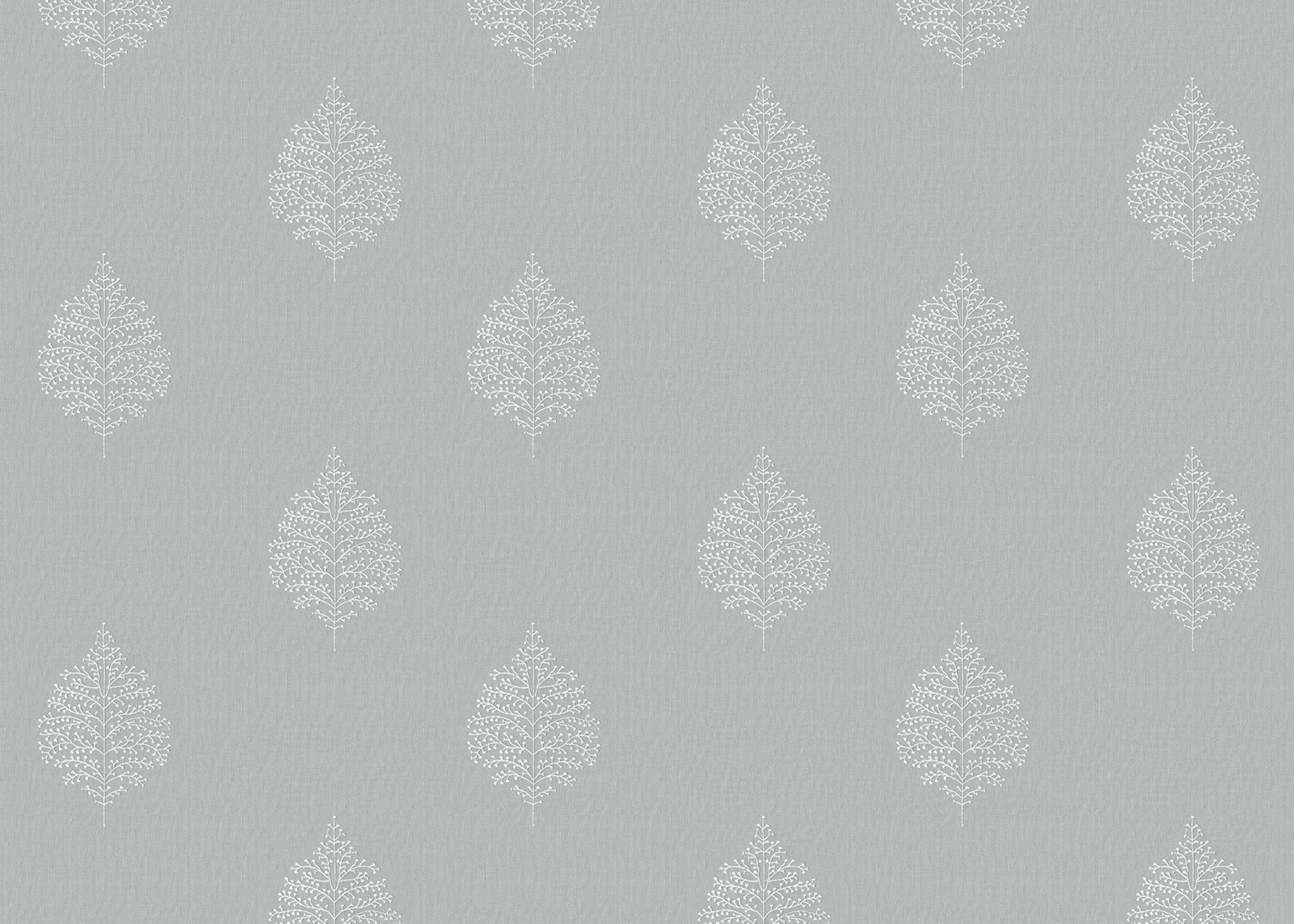 ANDELAIDE VOILE SURF