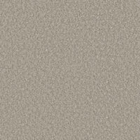 FRIZZ - FEATHER GREY