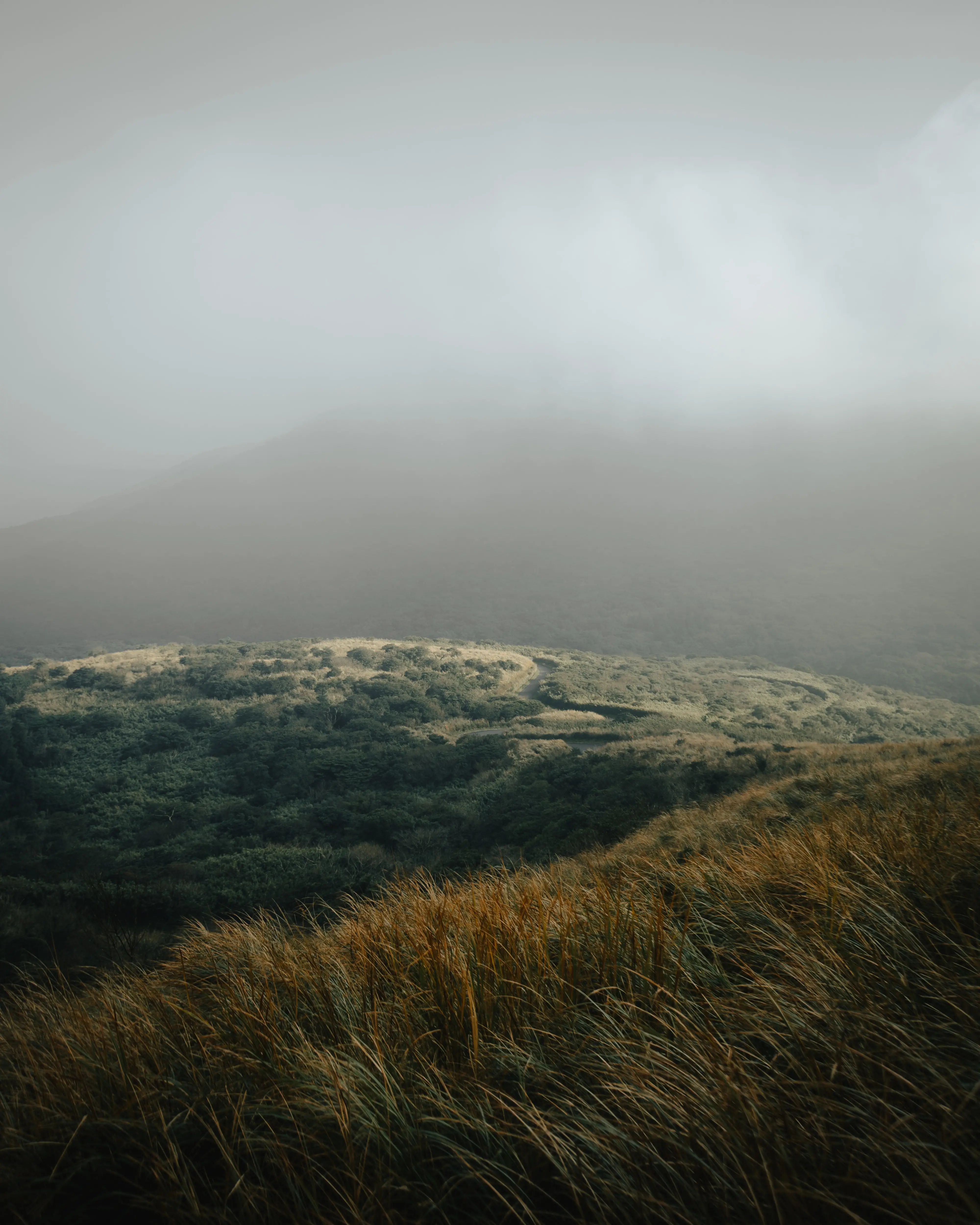 Chris Yang (@chrisyangchrisfilm) | Unsplash Photo Community