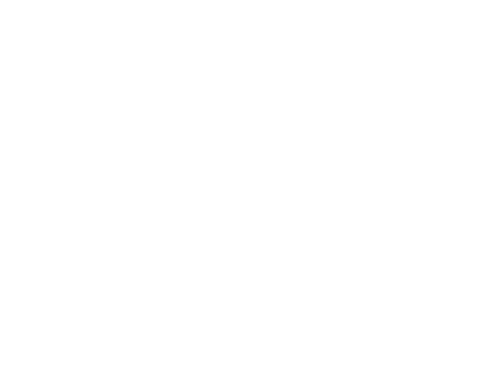 nanoplex icon n